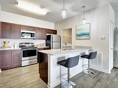 Metropolitan Village and Cumberland Manor Apartments Looking for roomates - Photo 3