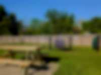 Nakheel Sunrise - Photo 4