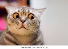 ListingHouse - Photo 1